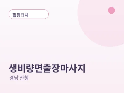 산청 생비량면 출장마사지