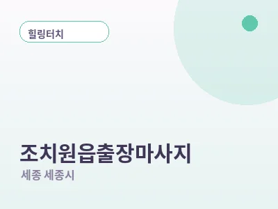 세종 조치원읍 출장마사지